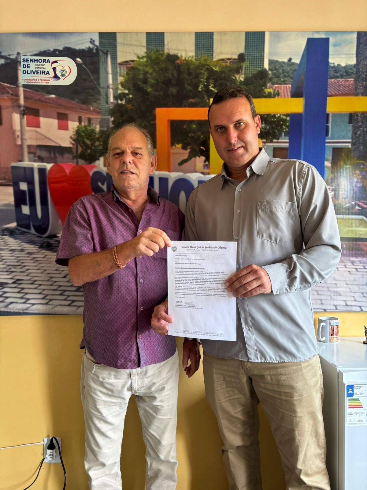 Câmara Municipal de Câmara Municipal de Senhora de Oliveira